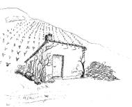 {short description of image}