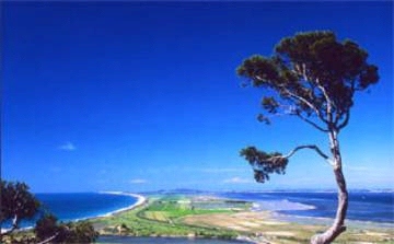 {short description of image}